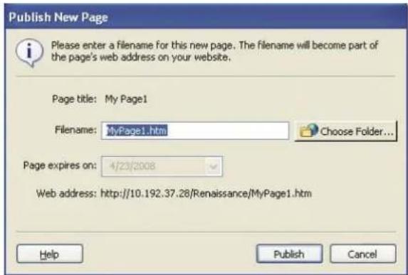 ADOBE Contribute CS4 - Publish a file from your computer to your website - 3