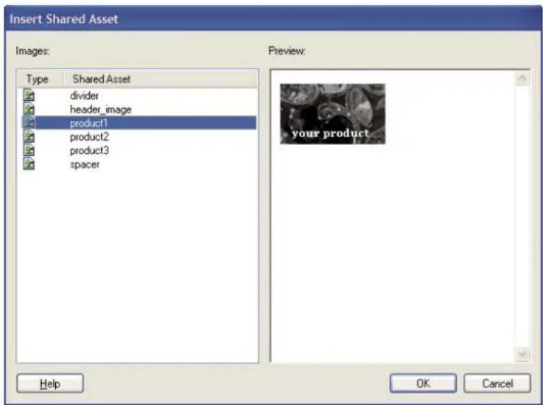 ADOBE Contribute CS4 - Insert shared assets into a web page - 1