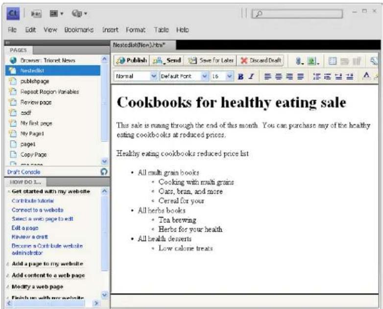 ADOBE Contribute CS4 - Create sublists - 1