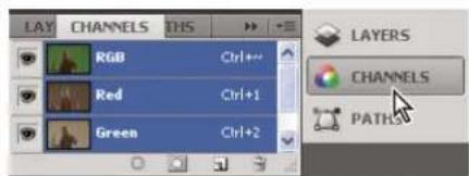 ADOBE Contribute CS4 - Manipulate panels collapsed to icons - 2