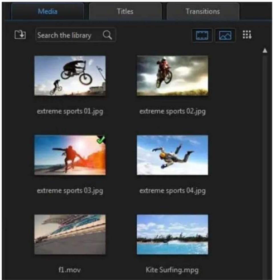 Media Titles Transitions Search the library extreme sports 01.jpg extreme sports 02.jpg extreme sports 03.jpg extreme sports 04.jpg f1.mov Kite Surfing.mpg