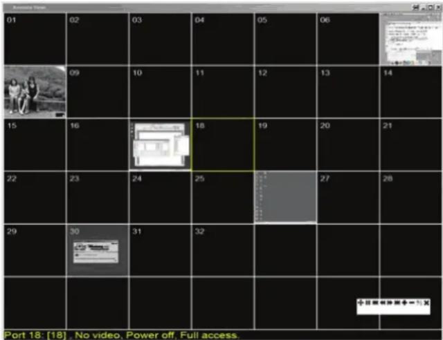 Tripp Lite NetDirector B064-032-01-IPG - Panel Array Mode - 1