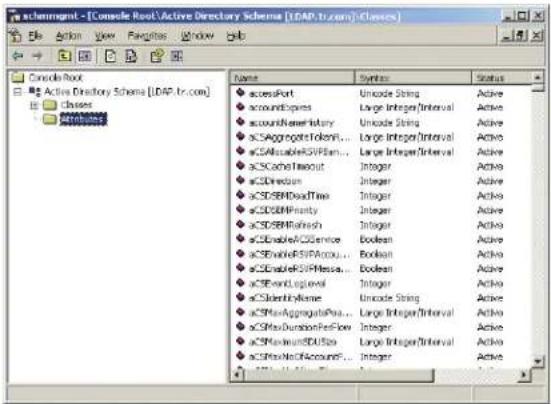 Tripp Lite NetDirector B064-032-01-IPG - Extend and Update the Active Directory Schema - 1