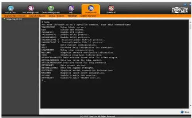 Tripp Lite NetDirector B064-032-01-IPG - Terminal - 1
