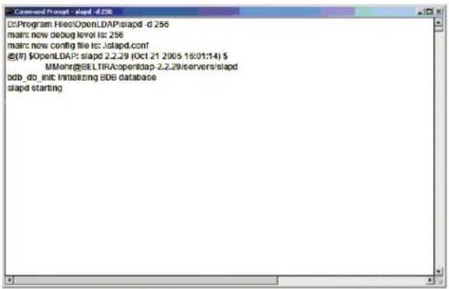 Tripp Lite NetDirector B064-032-01-IPG - Starting the OpenLDAP Server - 1