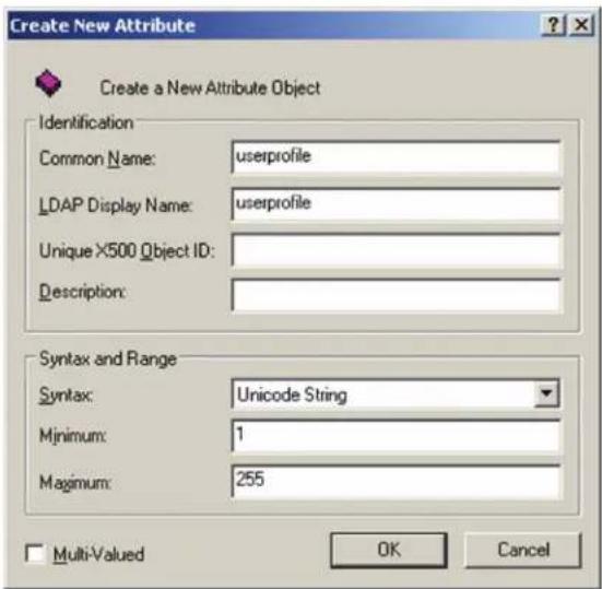 Tripp Lite NetDirector B064-032-01-IPG - Extend and Update the Active Directory Schema - 2