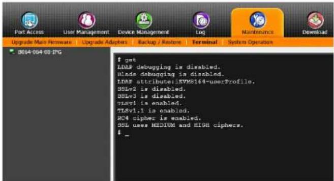Tripp Lite NetDirector B064-032-01-IPG - LDAP Configuration — Active Directory - 1