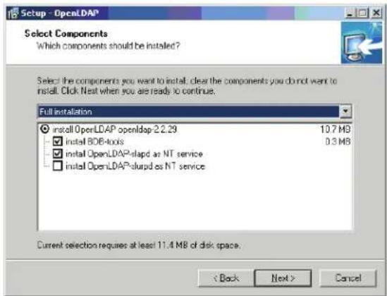 Tripp Lite NetDirector B064-032-01-IPG - OpenLDAP Server Installation - 1
