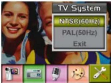 EASYPIX DV 5011 - TV System - 2