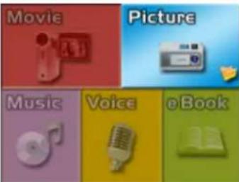 EASYPIX DV 5011 - ◆ Picture Playback - 1