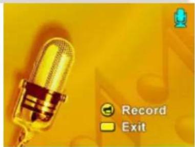 EASYPIX DV 5011 - ◆ Voice Recording - 1