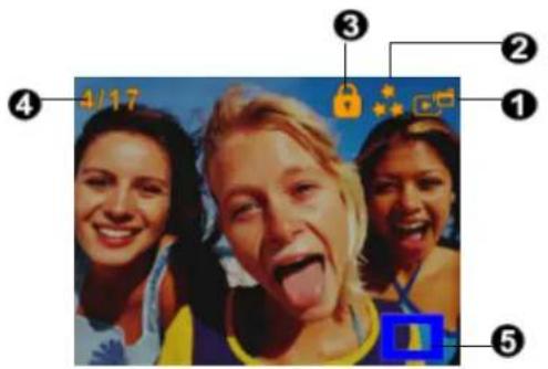 EASYPIX DV 5011 - ◆ LCD Monitor Information - 1