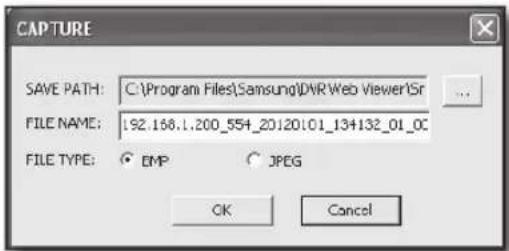 Hanwha SRD-470D - Saving the Live Screen on the PC - 2
