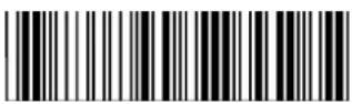 POS-X ION Linear 2 - EAN-8 - 17