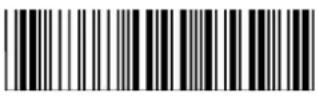 POS-X ION Linear 2 - Code39 - 13