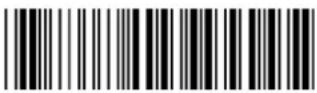 POS-X ION Linear 2 - Code39 - 4
