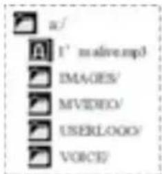 a./ I' m:alive.mp3 IMAGES/ MVIDEO/ USERLOGO/ VOICE/