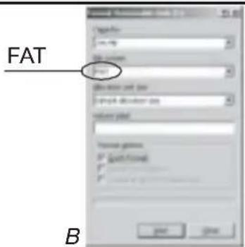 FAT B