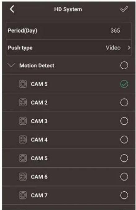 HD System Period(Day) 365 Push type Video > ✓ Motion Detect CAM 5 ✓ CAM 2 ○ CAM 3 ○ CAM 4 ○ CAM 5 ○ CAM 6 ○ CAM 7 ○