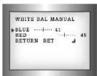 Digimerge Pinnacle DPV24D - White Balance (White Bal.) - 2