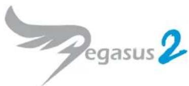 egasus 2