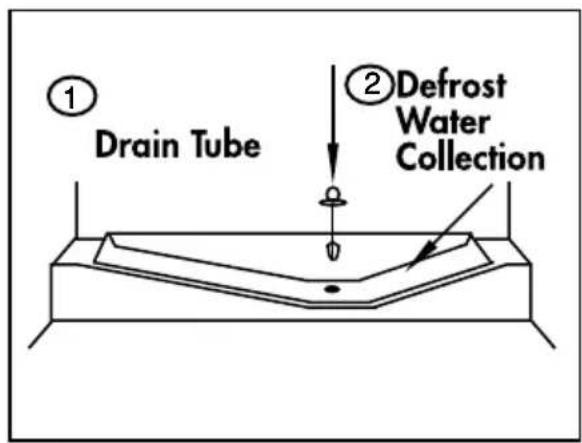 BEKO CFG3691DVW - A) Fridge Compartment - 1