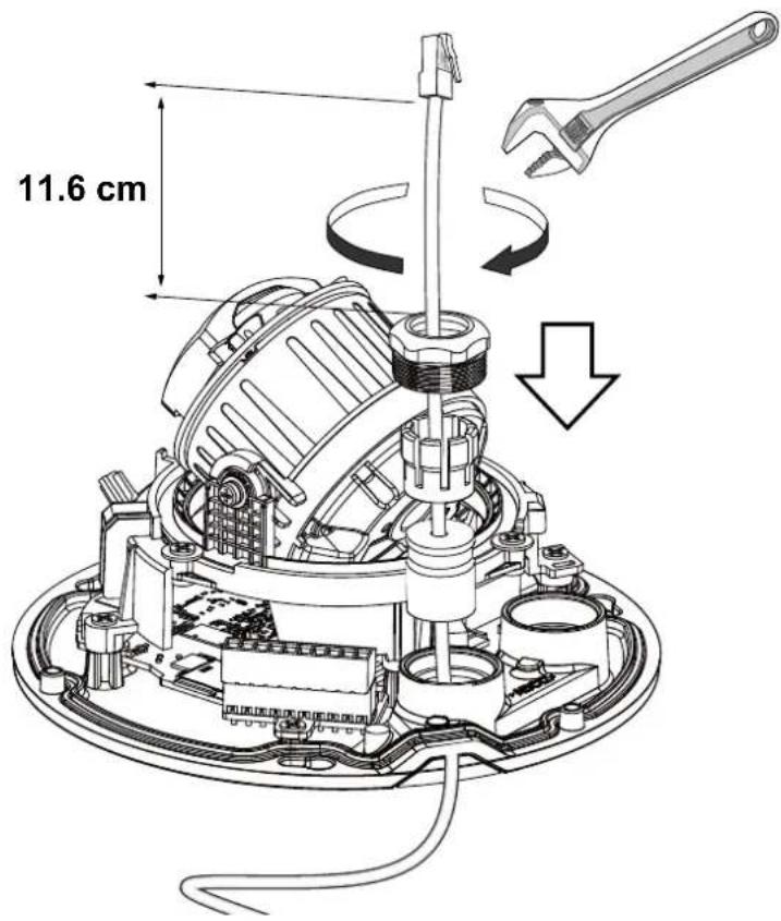 11.6 cm