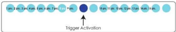 1 plc. 2 plc. 3 plc. 4 plc. 5 plc. 6 plc. 7 plc. 8 plc. 9 plc. 10 plc. 11 plc. 10 plc. 12 plc. 13 plc. 14 plc. 15 plc. Trigger Activation