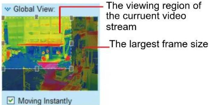 Global View: The viewing region of the curruent video stream The largest frame size Moving Instantly
