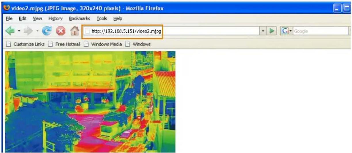 video2.mjpg (JPEG Image, 320x240 pixels) - Mozilla Firefox File Edit View History Bookmarks Tools Help http://192.168.5.151/video2.mjpg Customize Links Free Hotmail Windows Media Windows