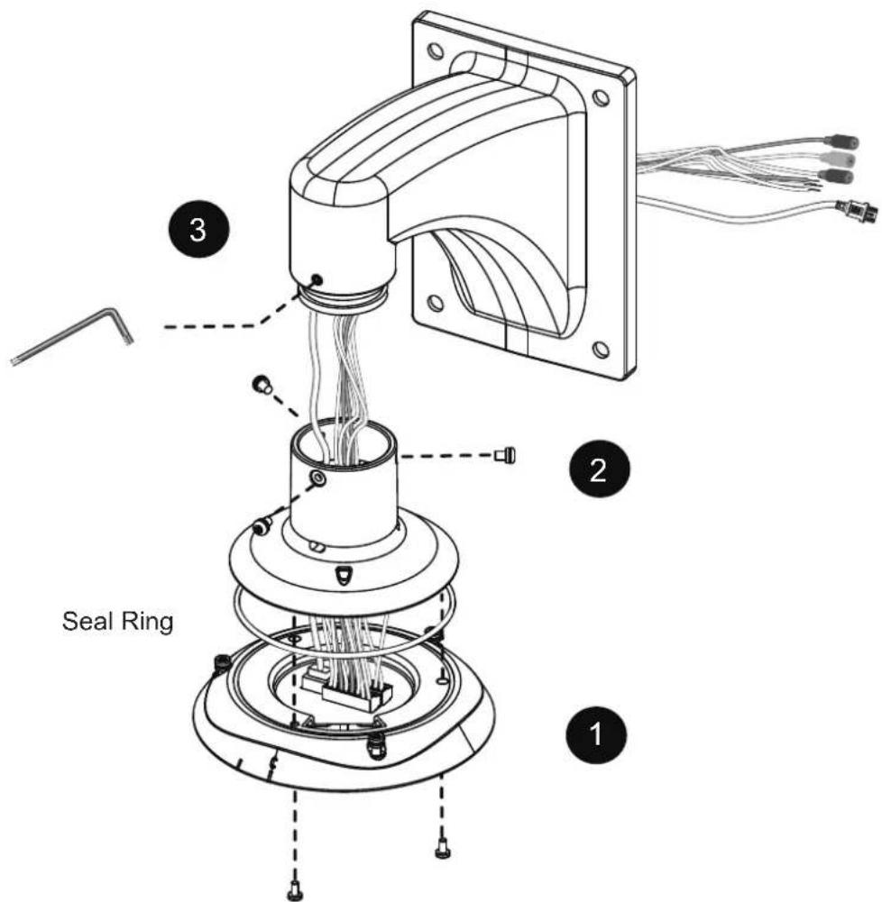 Seal Ring 1 2 3