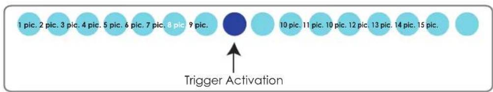 1 pic. 2 pic. 3 pic. 4 pic. 5 pic. 6 pic. 7 pic. 8 pic. 9 pic. 10 pic. 11 pic. 10 pic. 12 pic. 13 pic. 14 pic. 15 pic. Trigger Activation