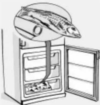 BAUKNECHT KGNB 3900/1 - 100% Free - 1