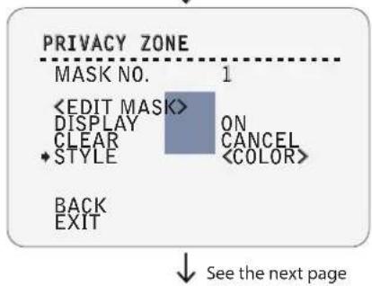 PRIVACY ZONE MASK NO. 1 DISPLAY ON CLEAR +STYLE BACK EXIT See the next page