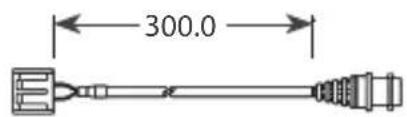 300.0