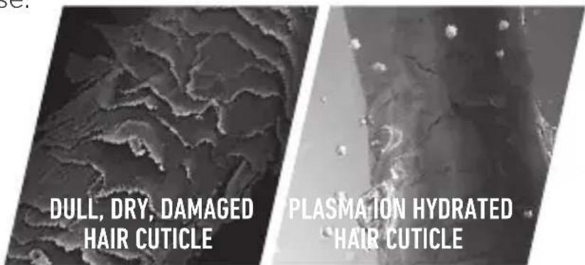 DULL, DRY, DAMAGED HAIR CUTICLE PLASMAION HYDRATED HAIR CUTICLE