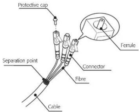 Protective cap Separation point Ferrule Connector Fibre Cable