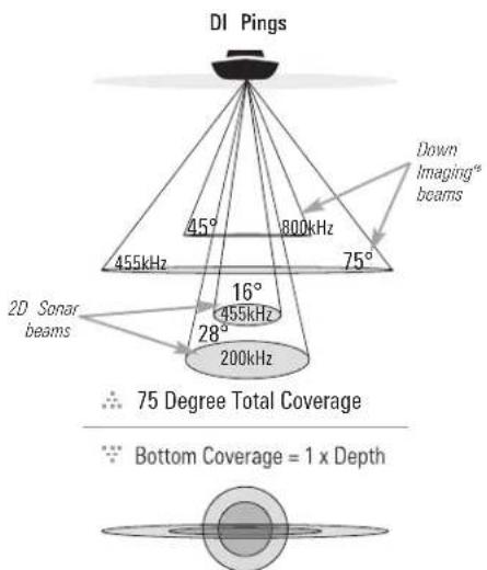DI Pings 455kHz 45° 800kHz Down Imaging™ beams 75° 16° 455kHz 28° 200kHz 2D Sonar beams 75 Degree Total Coverage Bottom Coverage = 1 x Depth