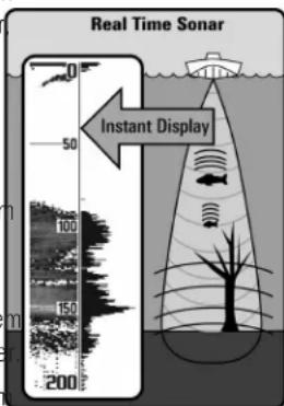 Real Time Sonar Instant Display