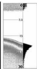 HUMMINBIRD 800 - Real Time Sonar (RTS™) Window - 2