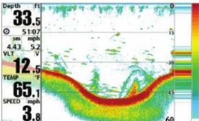 HUMMINBIRD 800 - Sonar Colors and Bottom View - 2