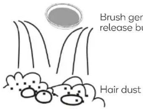 Brush ger release bu Hair dust