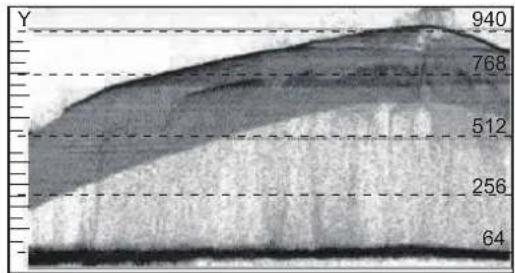 JVC DT-U31PRO - \*2: WFM Single Line - 1