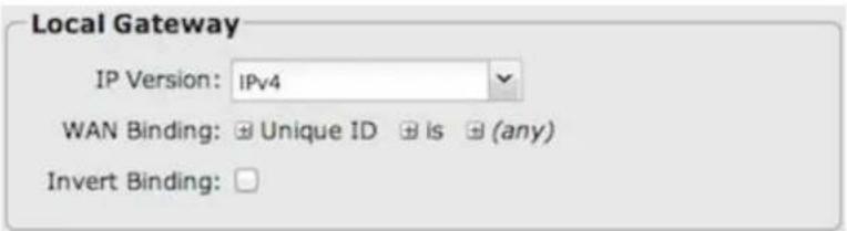 Local Gateway IP Version: IPv4 WAN Binding: ☑ Unique ID ☑ is ☑ (any) Invert Binding: □