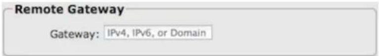 Remote Gateway Gateway: IPv4, IPv6, or Domain