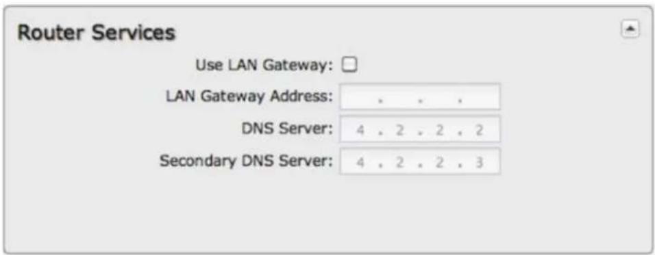 Router Services Use LAN Gateway: LAN Gateway Address: . . . . DNS Server: 4 . 2 . 2 . 2 Secondary DNS Server: 4 . 2 . 2 . 3