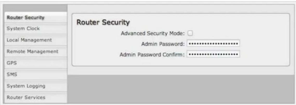 Router Security Advanced Security Mode: Admin Password: ********** Admin Password Confirm: **********