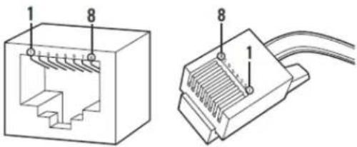 Technical diagram of a Ethernet connector showing internal structure and cable connection details