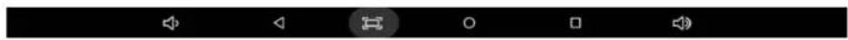 Media player control bar with playback, pause, refresh, radio buttons, and playhead icons
