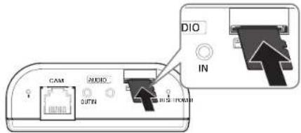 CAM AUDIO DIO IN RIS FLOWER
